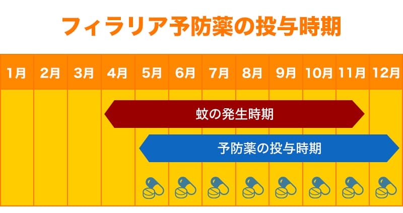 フィラリア予防薬の投与時期とタイミング