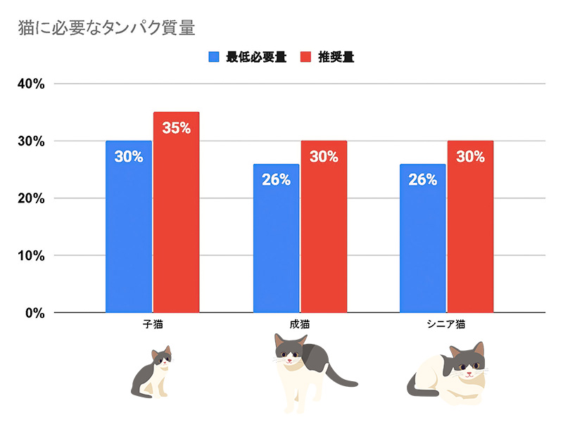 猫に必要なタンパク質量