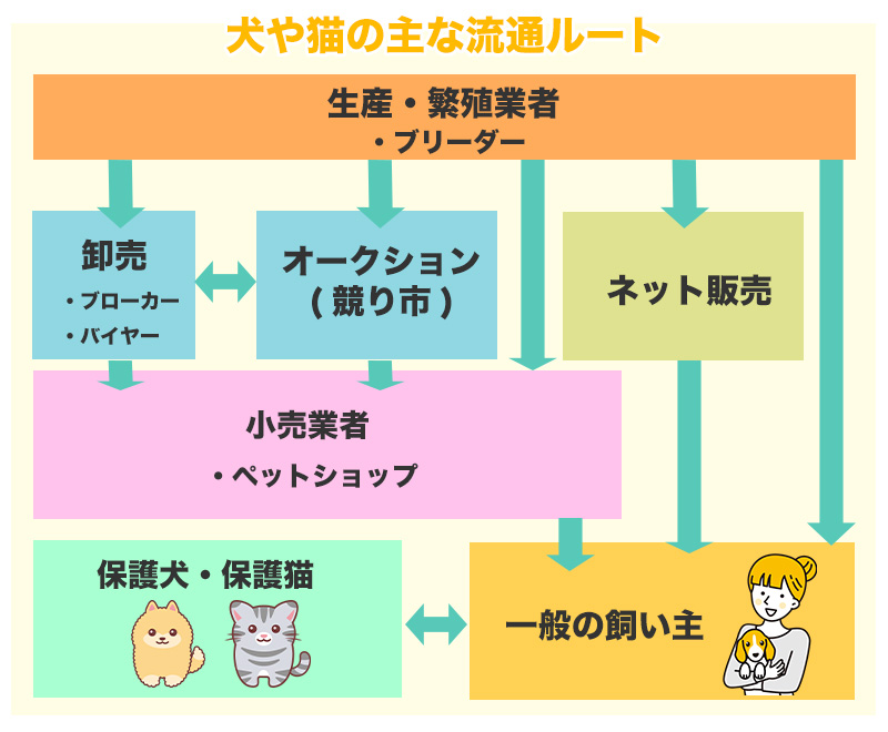 犬・猫の流通ルート