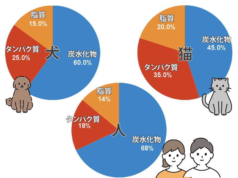 人・犬・猫の必要な3大栄養素