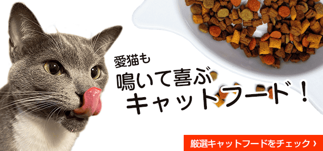 キャットフードのおすすめ