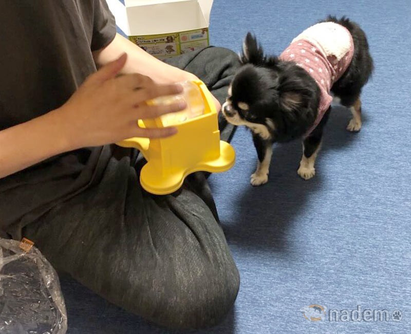 でるでる自飯器は知育おもちゃ