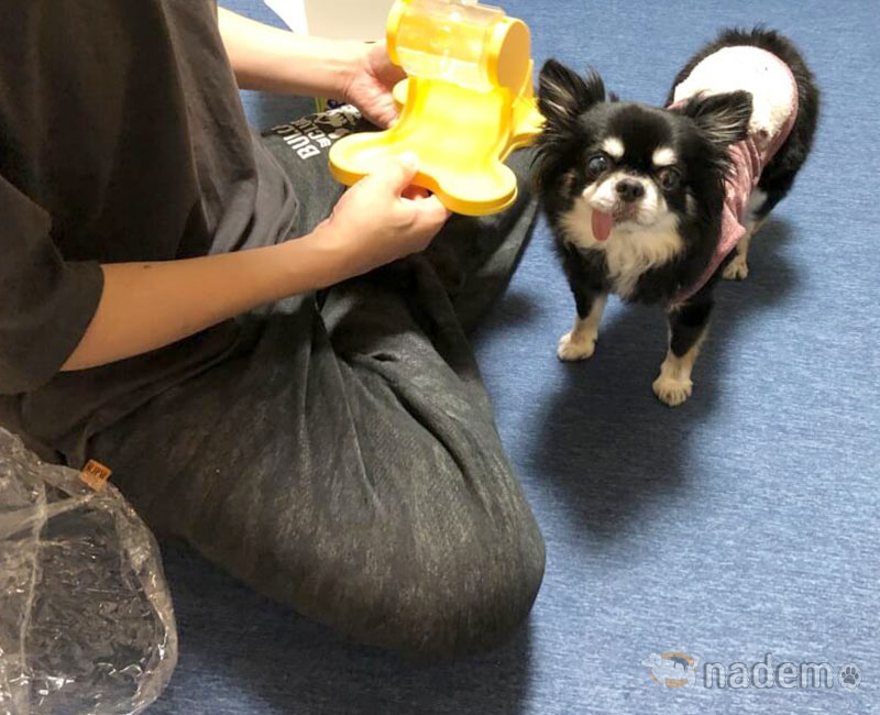 でるでる自飯器は知育おもちゃ