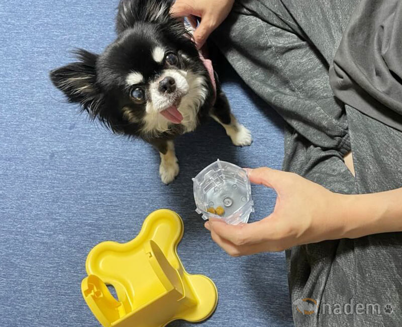 でるでる自飯器は知育おもちゃ