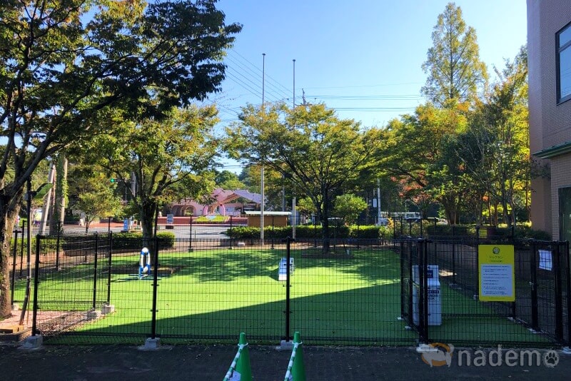 中庭ドッグラン（中庭dog park）