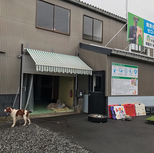 NPO法人みなしご救援隊 犬猫譲渡センター