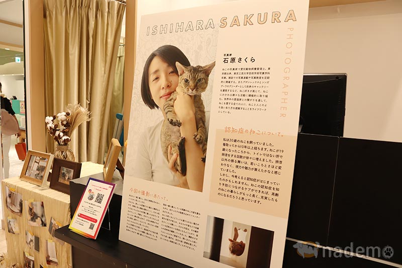 ねこの認知症 写真展