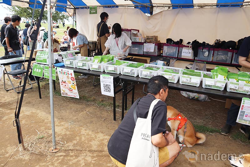 ペテモフェス