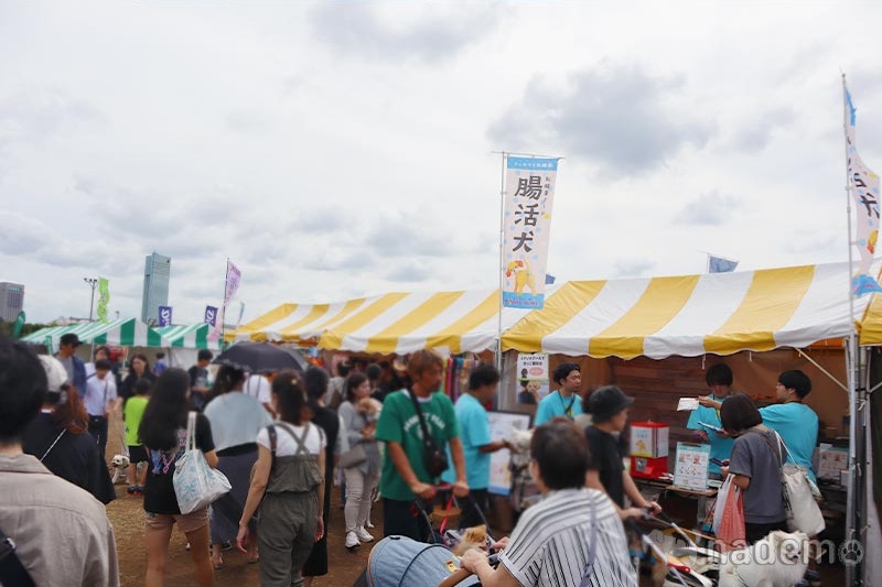 ペテモフェス