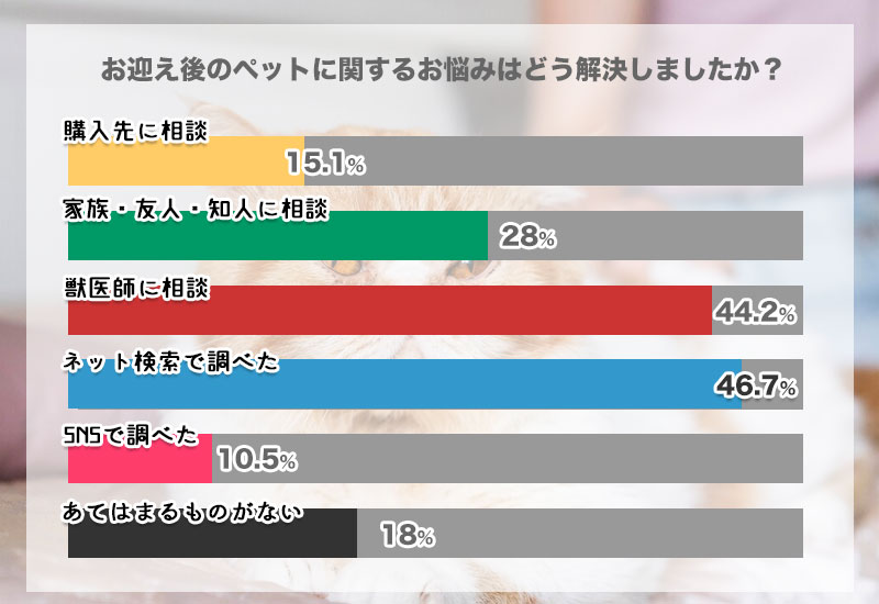 ペットをお迎えしてから出てきたお悩みは、どうやって解決してきたか