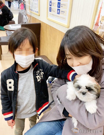 愛犬こまち