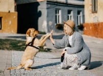 犬を飼ったときに後悔・失敗しないためのポイント12選