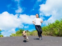 犬がストレスを感じる原因やサインの見極め方、発散方法を解説！