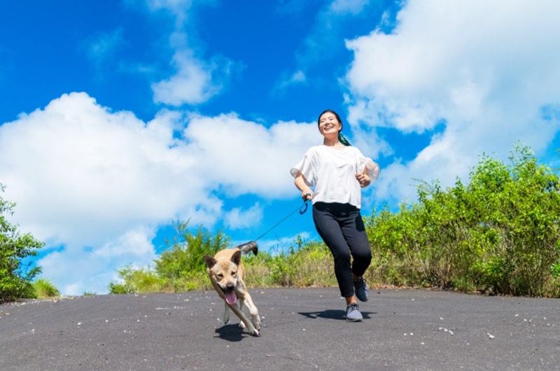 犬がストレスを感じる原因やサインの見極め方、発散方法を解説！