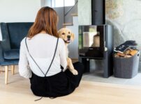 犬を飼う上でかかる費用はどれくらい？費用総額や各費用のまとめ