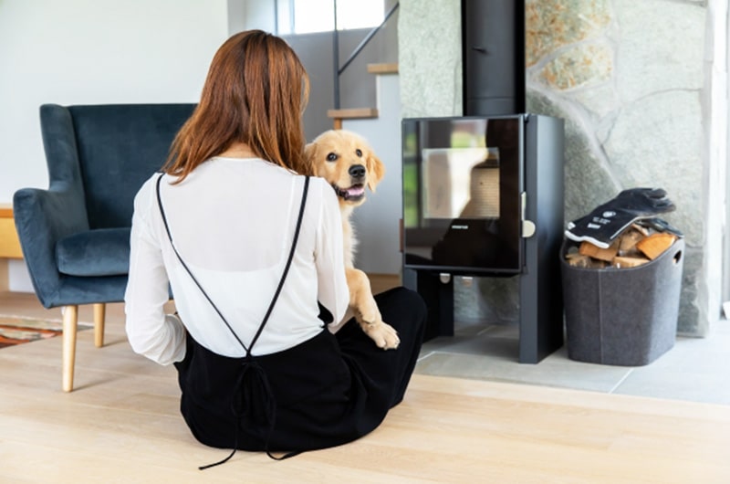 犬を飼う上でかかる費用はどれくらい？費用総額や各費用のまとめ