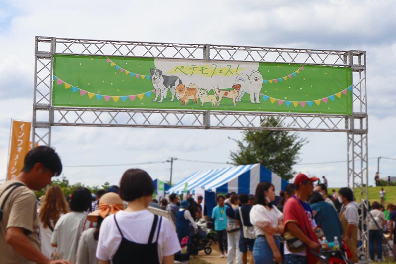 ペテモフェス